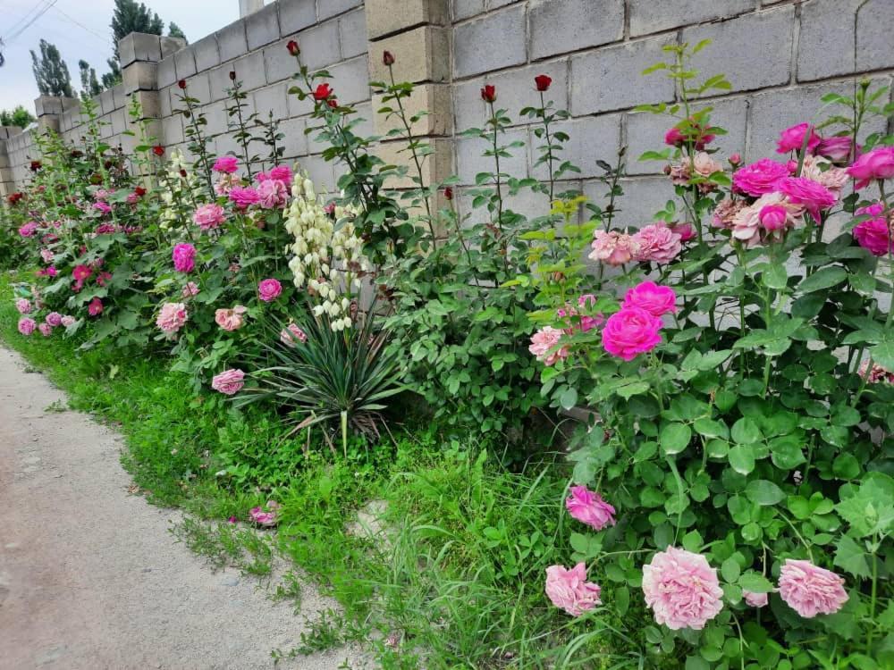 Homestay Jaisel Bishkek Bagian luar foto